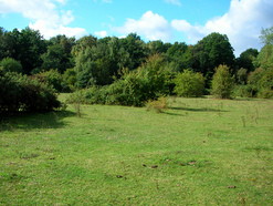 Sep 2013: C15 grassland